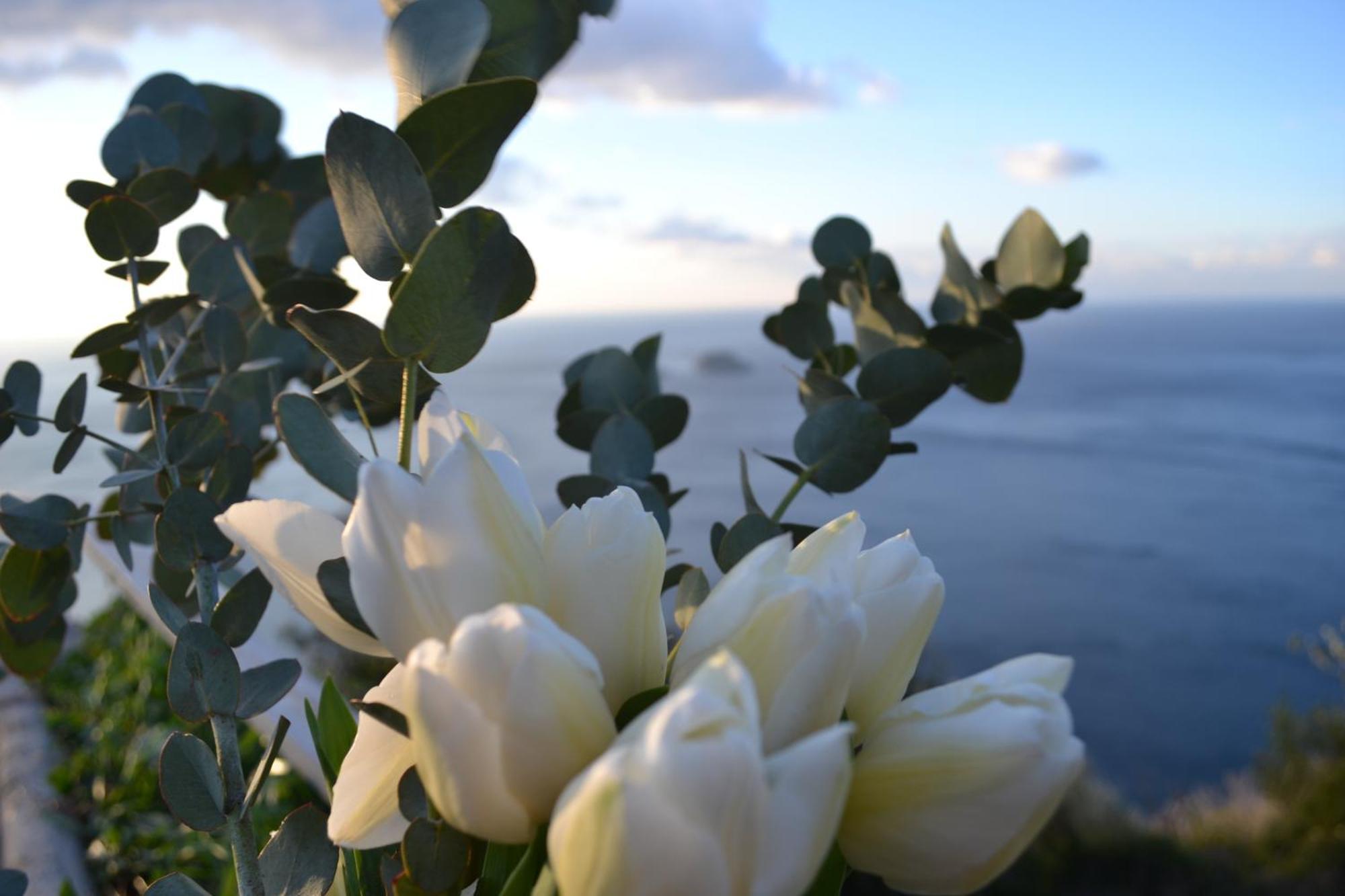 Villa Casa La Bifora Positano Esterno foto